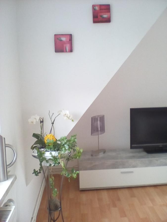 Ferienwohnung Am Geiersberg Walkenried Exterior foto